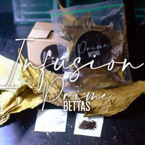 Vemos los elementos naturales de la infusión de Almendro y té negro de Prime Bettas